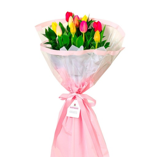 [PN!72] Ramo Colorful - 10 Tulipanes